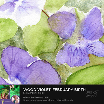 Wood Violet Flowers