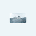Solitude Too, Monochromatic Landscape